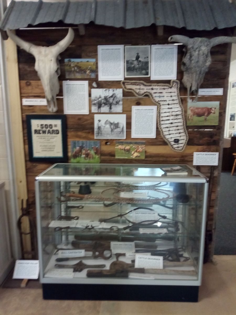 Photo of Florida cattle industry exhibit